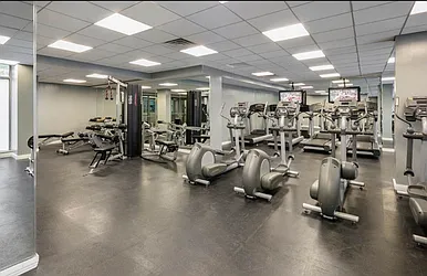 Rented by Voro New York