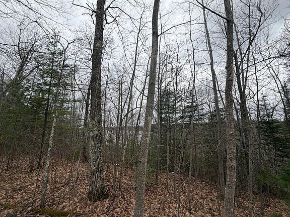 5th image of LOT 2 Bo Di Lac Dr