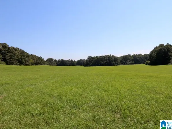0 Wilson Rd Lot 1, Clanton, AL 35045