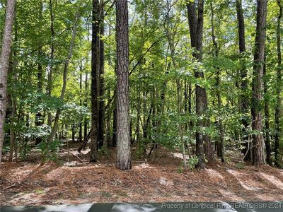 6002 Cypress Point, Sanford, NC, 27332