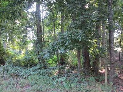 1st image of 2062 Rockdale Cir