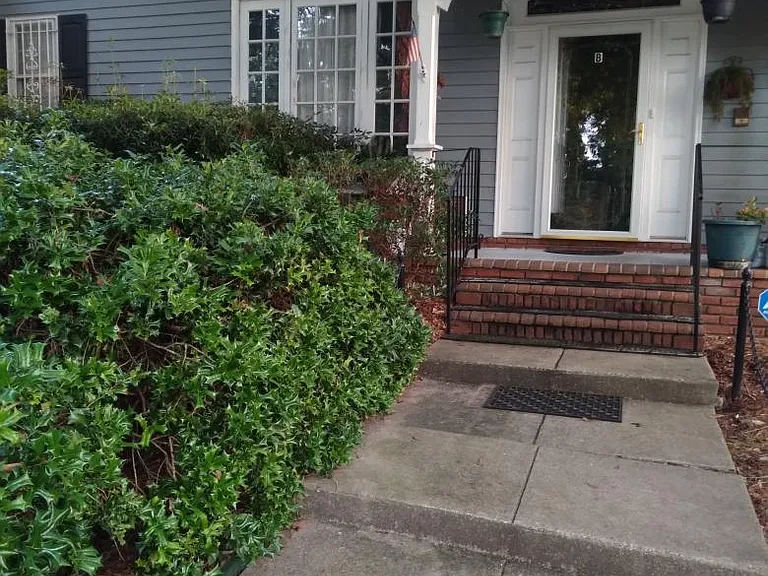 6225 Olde Towne Dr #B — Photo 3
