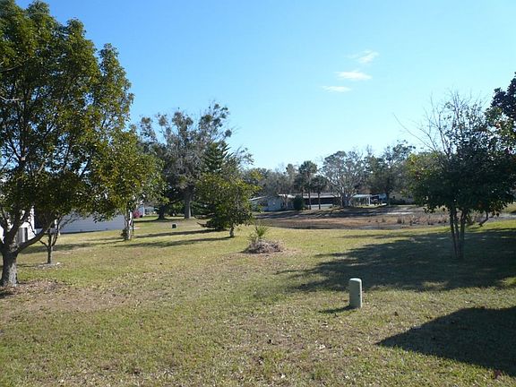 my back yard