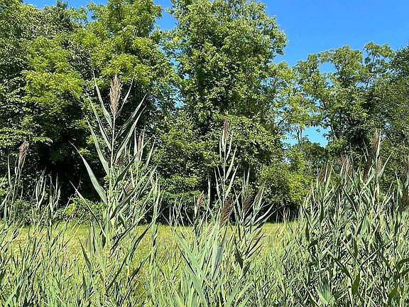 4th image of 0 Pennsylvania Rd