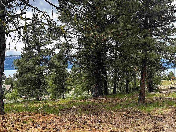 3rd image of 1483 Pine Lakes Ranch Dr