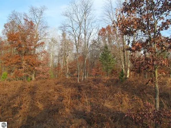 10750 Stockwell Rd, Marion, MI 49665