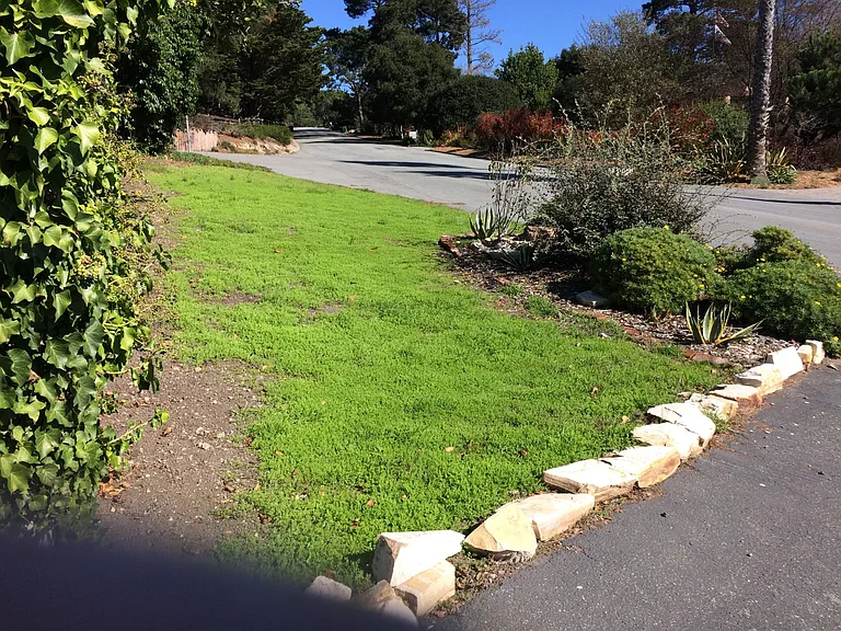 25900 Rio Vista Dr — Photo 14