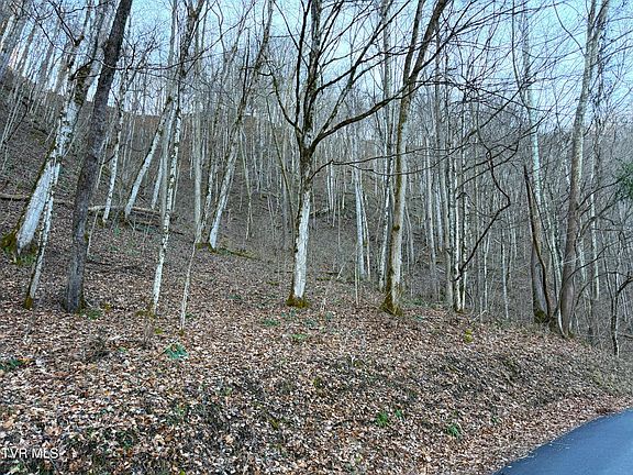 4th image of Horton Ford Rd