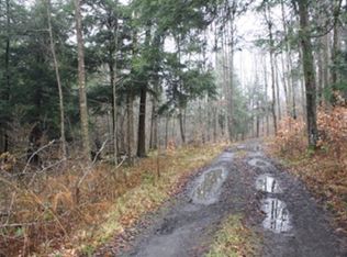 323 S Elk Run Rd, Wellsboro, PA 16901