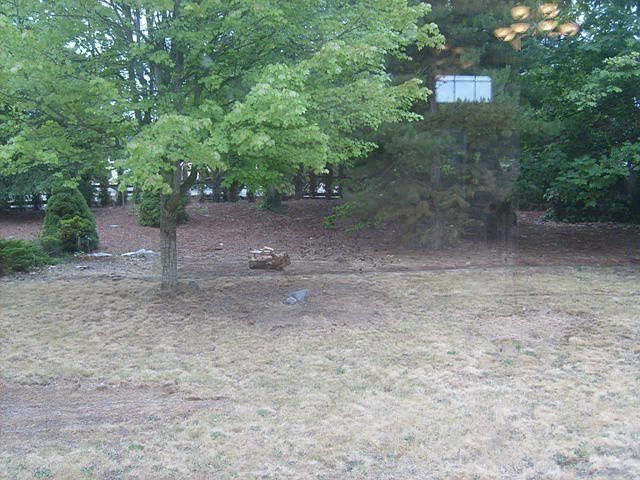 2nd image of 11828 133rd Street Ct E