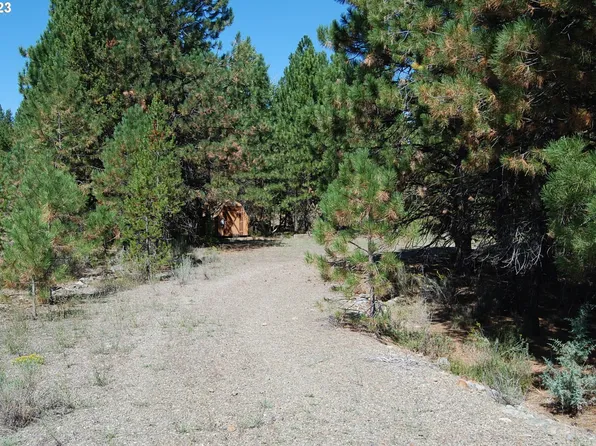 Huckleberry Loop, Sumpter, OR 97877