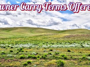 1238 Chicha Rd, Hartsel, CO 80449