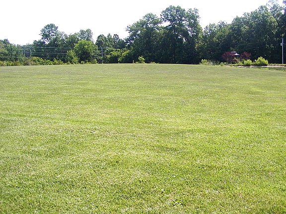 4th image of 210 Augustus Dr