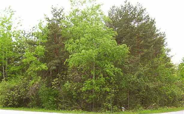 2nd image of DUANE LAKE Road