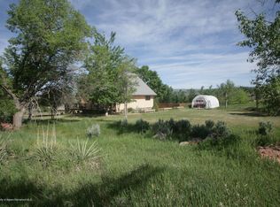1007 Fender Ln, El Jebel, CO 81623