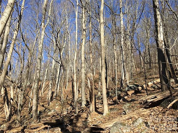 3rd image of 99999 Red Oak Forest Rd