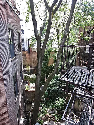 Rented by New York is Home | media 6