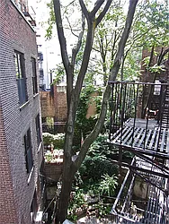 Rented by New York is Home