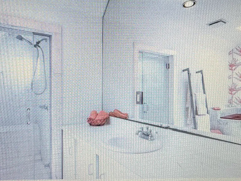 Main bedroom's en suite bath; walk-in steam shower, Jacuzzi tub