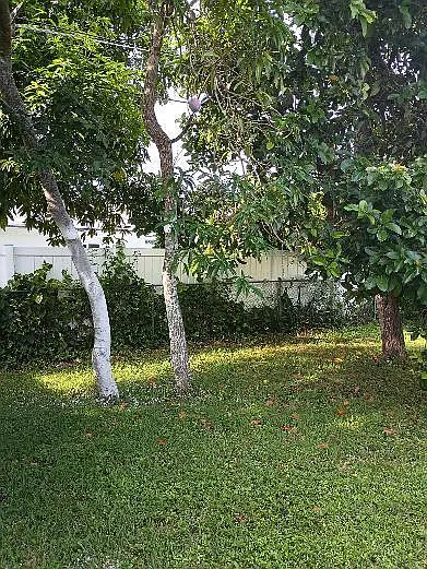 6761 NW 24th Ct — Photo 16