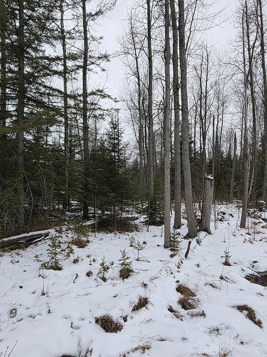 N Hazel Rd Lot 17-N photo 1