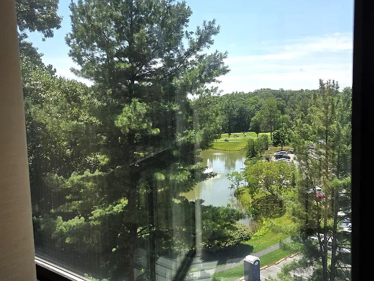 15107 Interlachen Dr #2520 — Photo 3