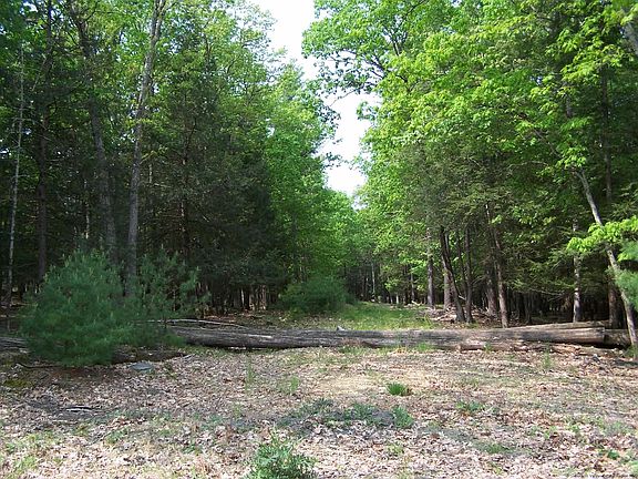 2nd image of Lot 1 White Pine