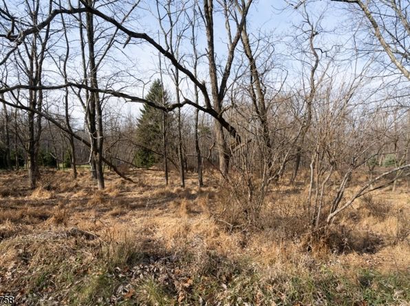 28 W Springtown Rd, Washington Twp., NJ 07853