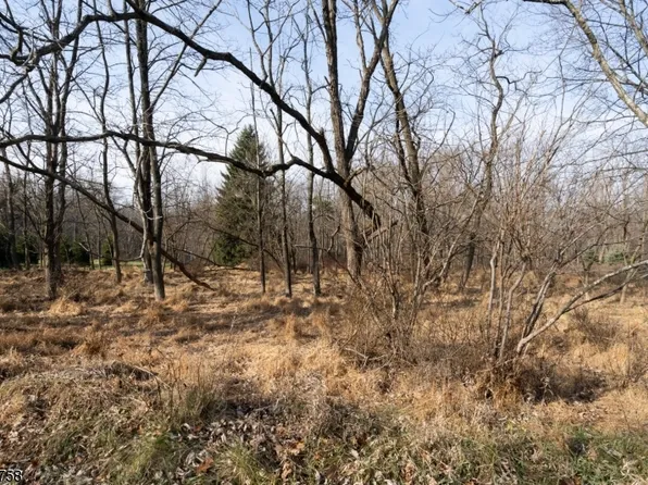 28 W Springtown Rd, Washington Twp., NJ 07853