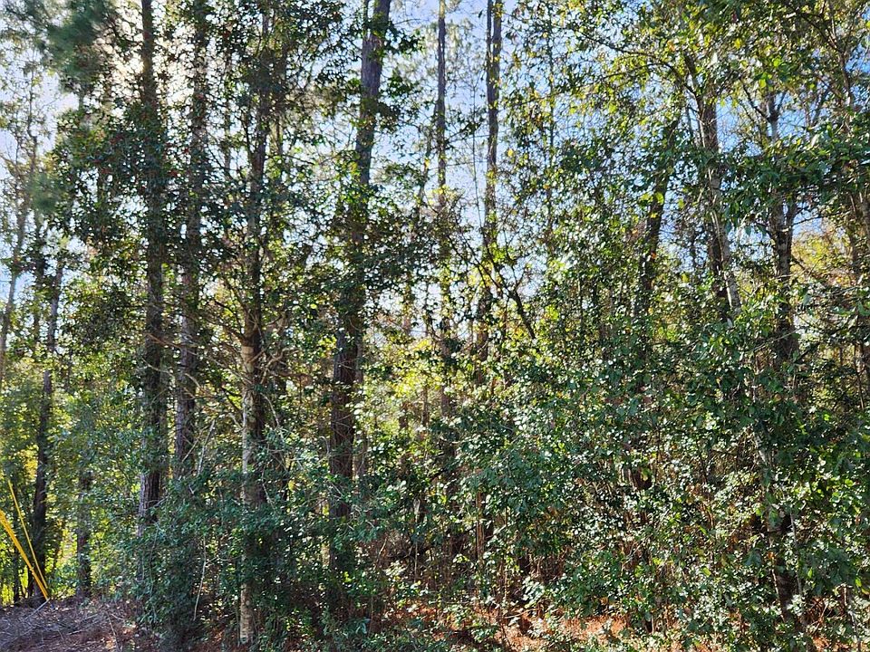 2nd image of LOT 29 Koloa St