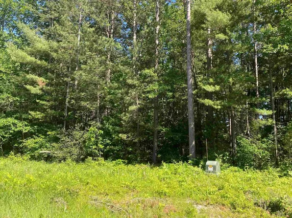 1.29 Acres SCOUT ROAD, Willard, WI 54493