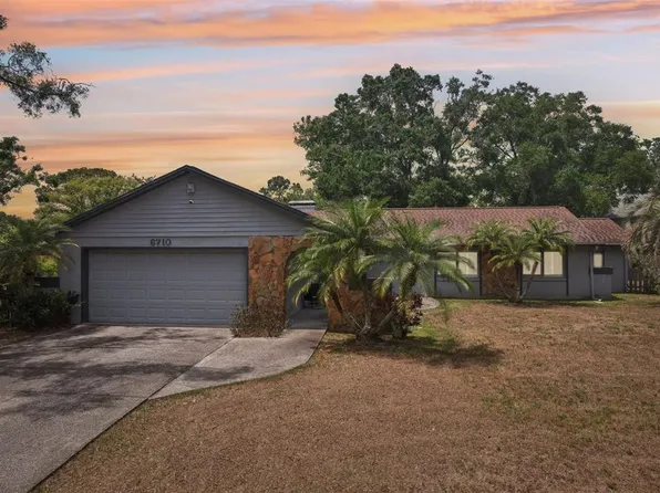 6710 Sandscape Ln, Temple Terrace, FL 33617