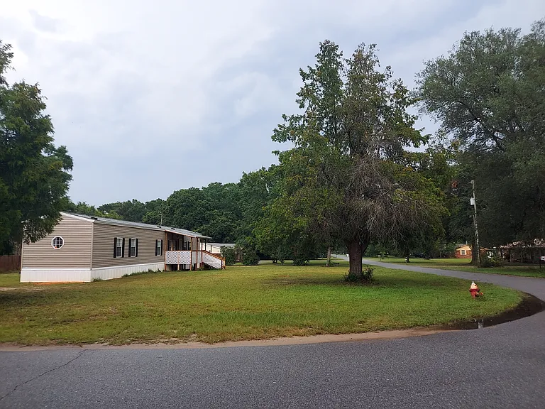 Looking East from the corner of Delona Rd and Delona Rd (it just bends around our yard). Several Cedar trees give shade and ambiance.