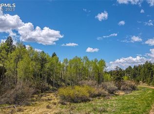 765 Pinon Ln, Florissant, CO 80816