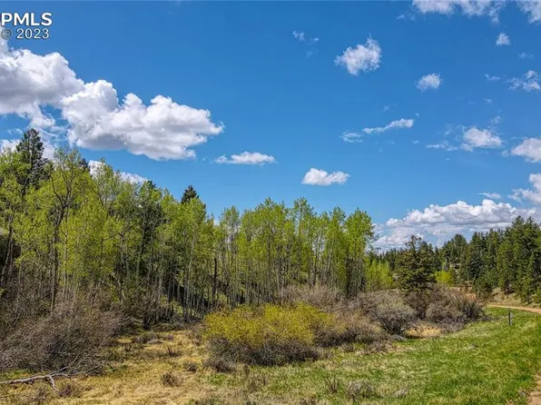 765 Pinon Ln, Florissant, CO 80816