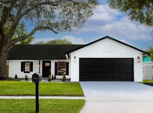 4013 Greenmark Ln, Valrico, FL 33596