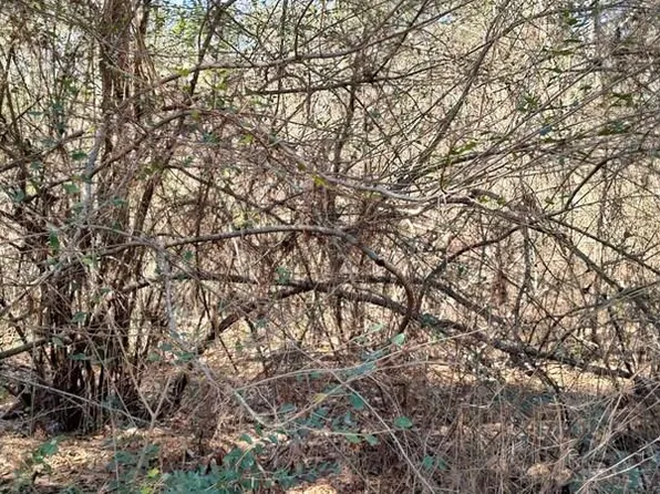 Nhn Pecan Dr, Lumberton, MS 39455