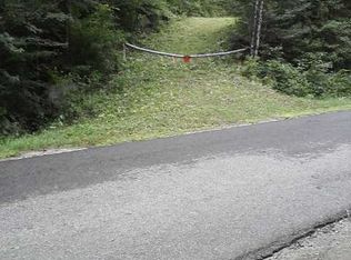 26 Acres Of Woodland, Wells, NY 12190