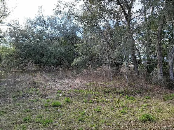 456 N Grandview Ave, Hernando, FL 34442
