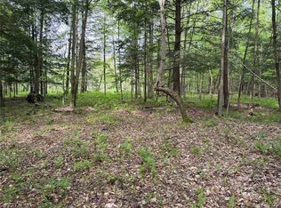 Kellogg Hill Rd, South Dayton, NY 14138