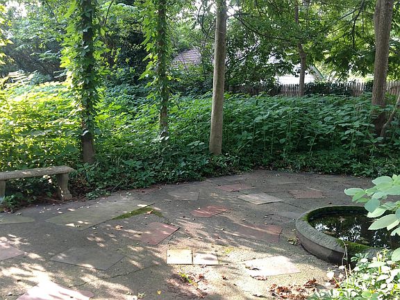 Patio - Rear Yard