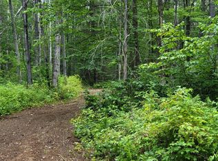 11142 Dream Lake Rd LOT 3, Long Lake, WI 54542