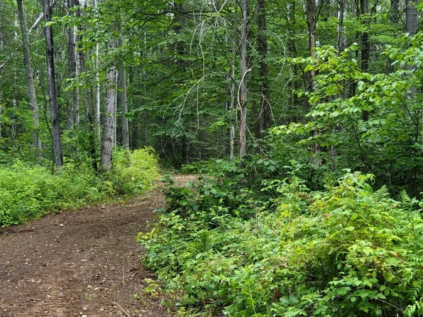 11142 Dream Lake Rd Lot 3, Long Lake, WI 54542