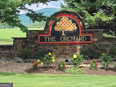 1830 Holland Pippin Dr, Clarkesville, GA, 30523