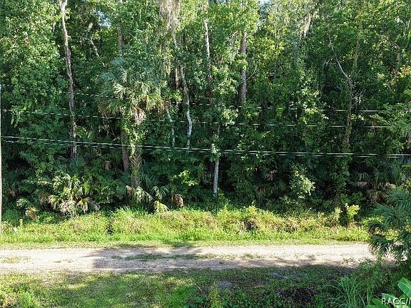 4th image of 0 Gobbler Rd