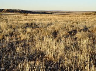 LOT 449 Woodridge Rnch LOT 449, Concho, AZ 85924