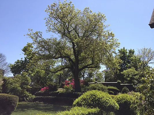 Sold by Robert E. Hill  | media 10