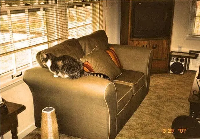 Living Room Sofa