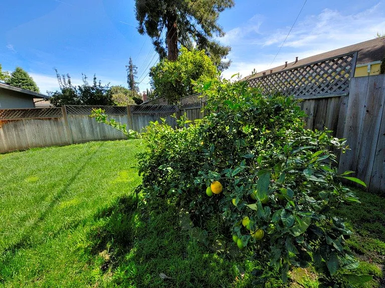 1282 Normandy Way — Photo 18