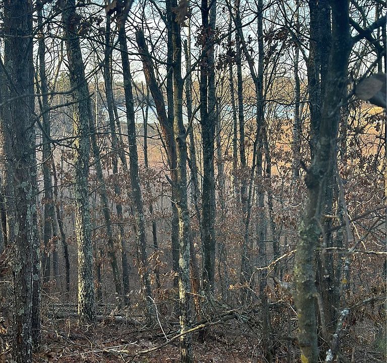 1st image of N8991 Lower McKenzie Road